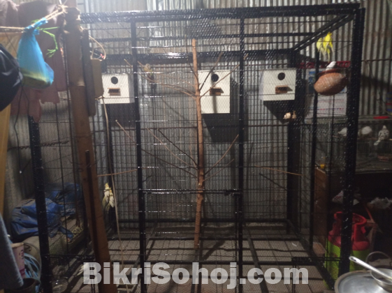 Big size colony cage